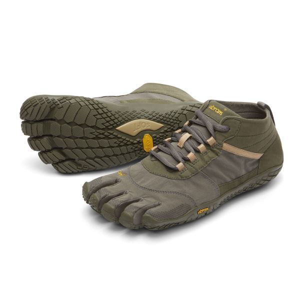 lowa zephyr gtx mid tf wolf grey